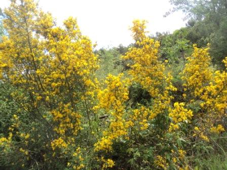Promenade en pleine nature, le 15 mai 2016