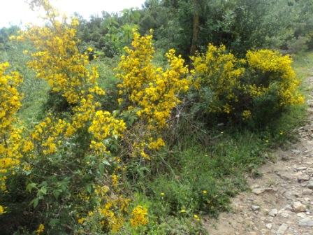 Promenade en pleine nature, le 15 mai 2016