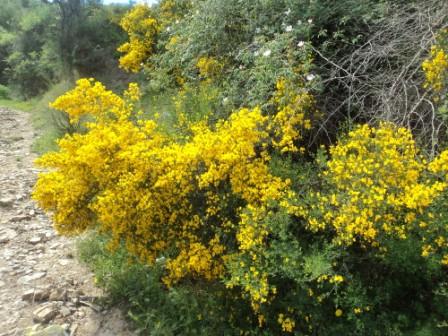 Promenade en pleine nature, le 15 mai 2016