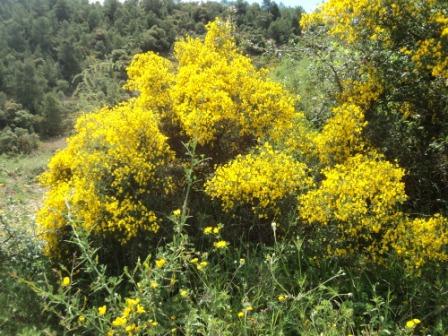 Promenade en pleine nature, le 15 mai 2016
