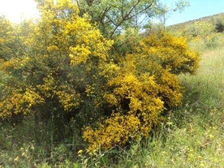 Promenade en pleine nature, le 15 mai 2016