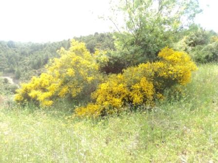 Promenade en pleine nature, le 15 mai 2016