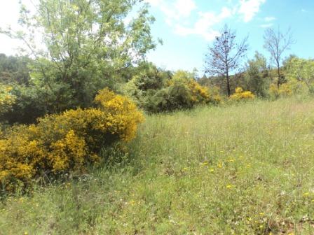 Promenade en pleine nature, le 15 mai 2016