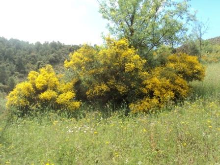 Promenade en pleine nature, le 15 mai 2016