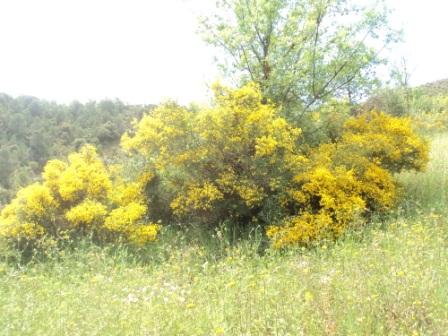 Promenade en pleine nature, le 15 mai 2016