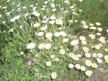 Promenade en pleine nature, le 15 mai 2016