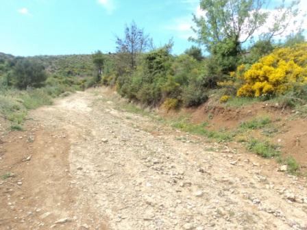 Promenade en pleine nature, le 15 mai 2016