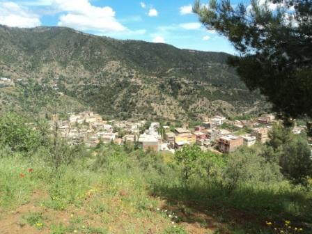 Promenade en pleine nature, le 15 mai 2016