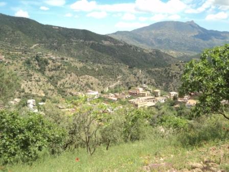 Promenade en pleine nature, le 15 mai 2016