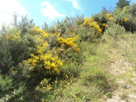 Promenade en pleine nature, le 15 mai 2016