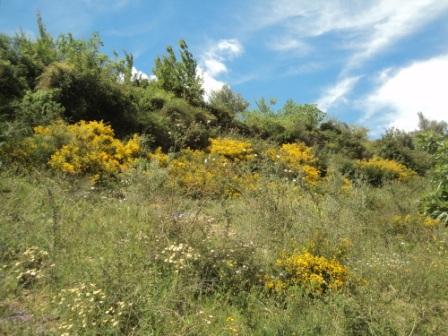 Promenade en pleine nature, le 15 mai 2016
