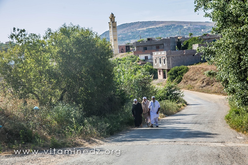 El Mdadha, village de la commune de Sidi Ouariache (Ain Temouchent)