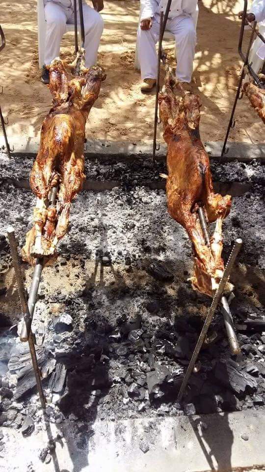 Hôtel La Gazelle d'Or, El Oued Souf