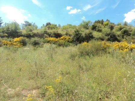 Promenade en pleine nature, le 15 mai 2016