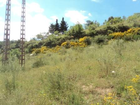 Promenade en pleine nature, le 15 mai 2016