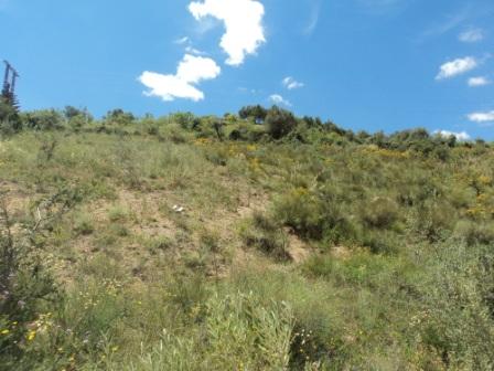 Promenade en pleine nature, le 15 mai 2016