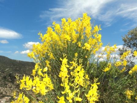 Promenade en pleine nature, le 15 mai 2016