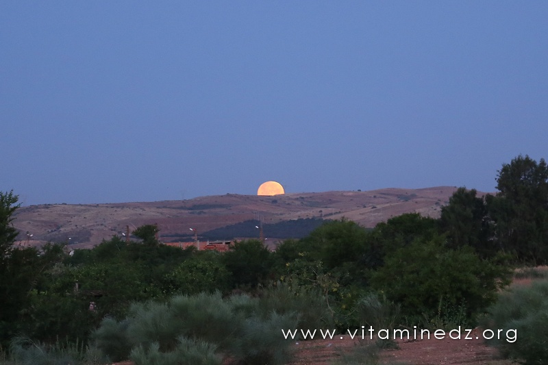 Coucher de lune à Yellel ... 5h35 du matin