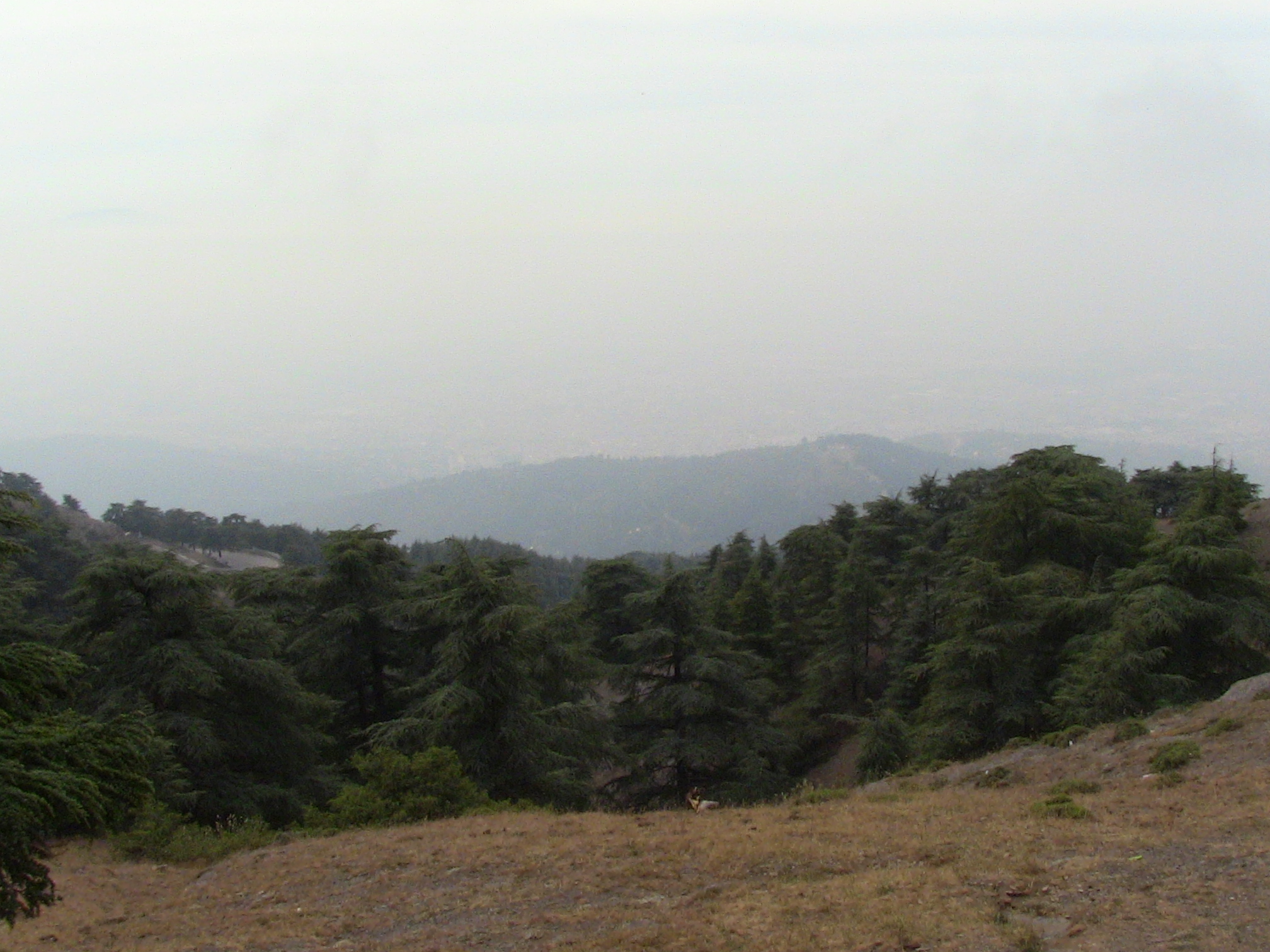 Protegeons la Nature