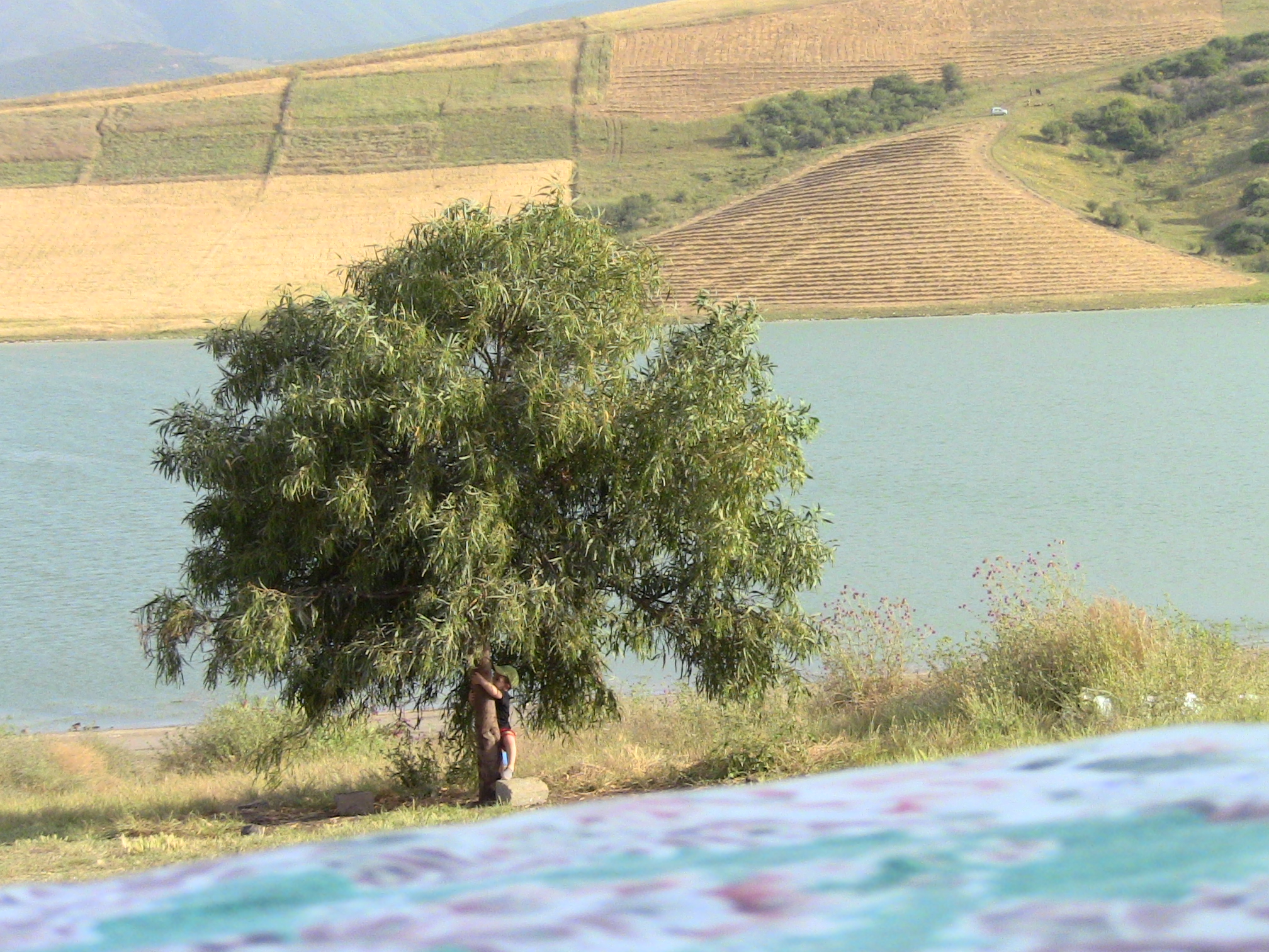 Comment respecter la nature ?