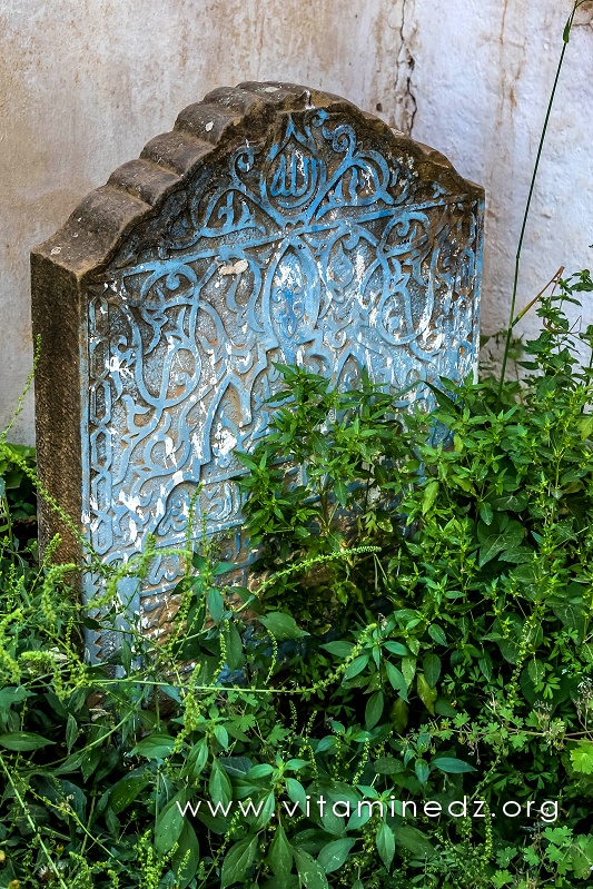 Tlemcen - Cimetière Sidi Senoussi (Epitaphes et pierres tombales)
