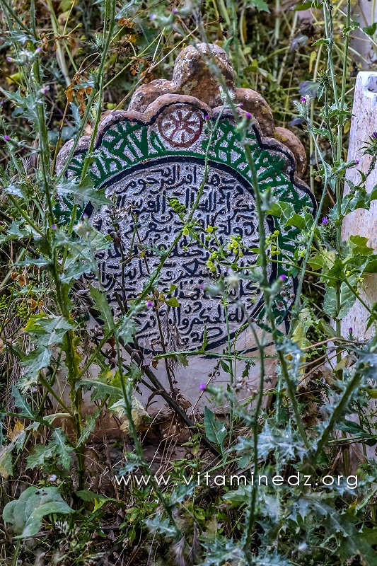 Tlemcen - Cimetière Sidi Senoussi (Epitaphes et pierres tombales)