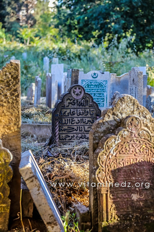 Tlemcen - Cimetière Sidi Senoussi (Epitaphes et pierres tombales)