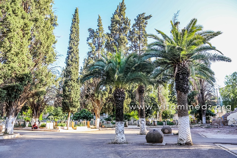 Tlemcen - Cimetière Sidi Senoussi