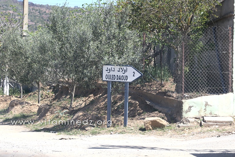 Douar Ouled Daoud, commune de Nedroma