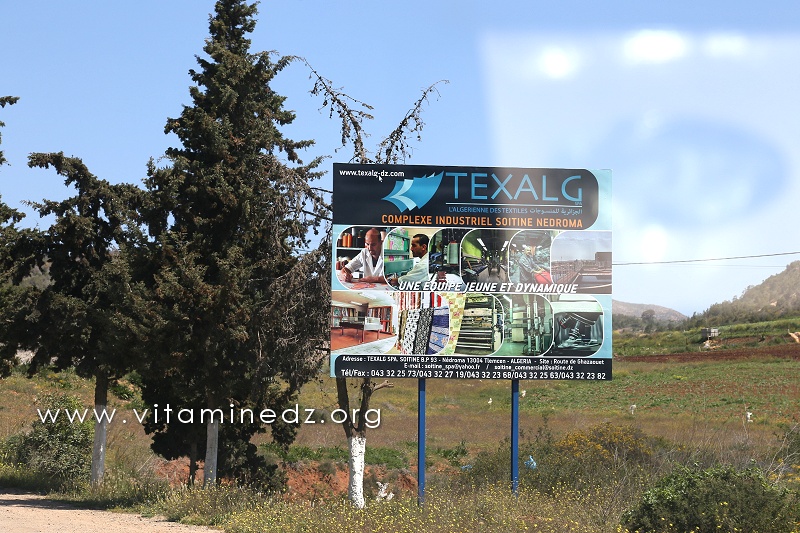 La société Soitine de Nedroma