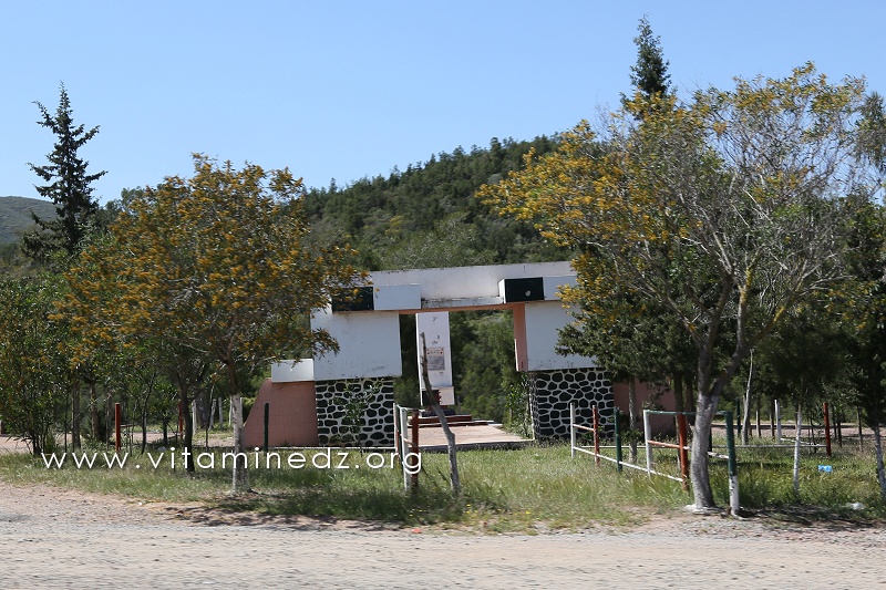 Stèle de Martyrs des environs de Nedroma