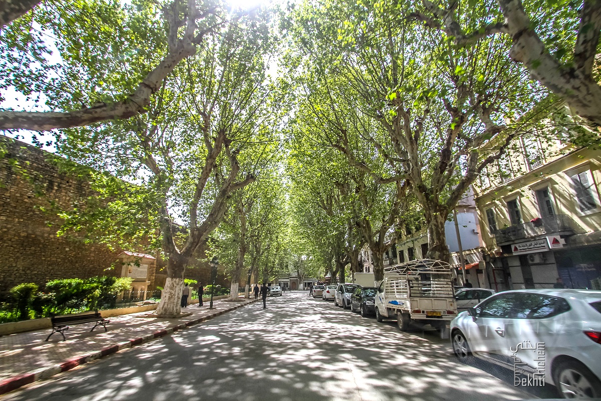 Que veut dire Tlemcen ?