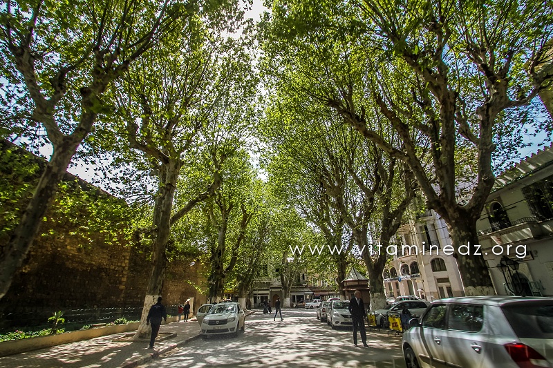 Extérieur du palais du Mechouar
