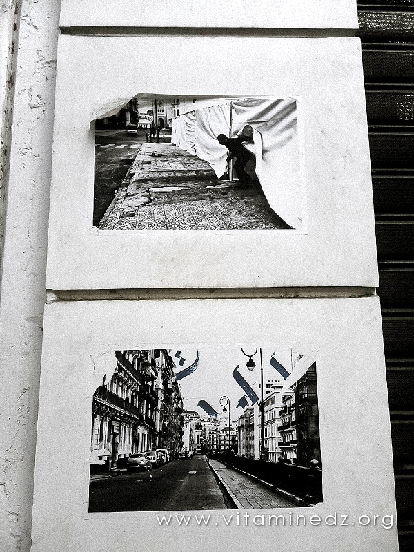 Youcef Krache - Exposition murale à la rue Didouche Mourad - Alger