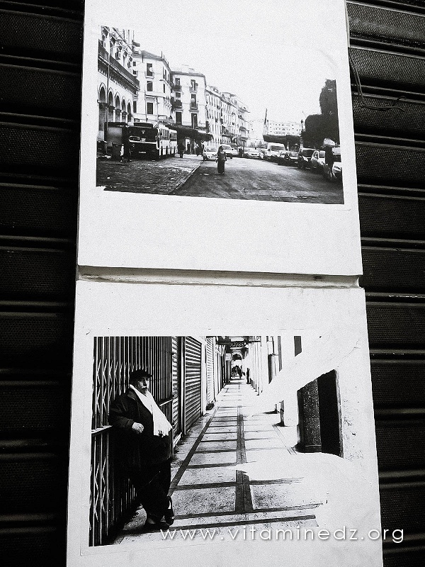 Youcef Krache - Exposition murale à la rue Didouche Mourad - Alger