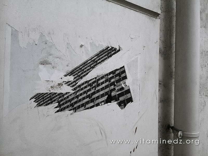 Youcef Krache - Exposition murale à la rue Didouche Mourad - Alger