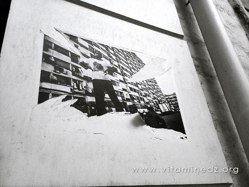Youcef Krache - Exposition murale à la rue Didouche Mourad - Alger