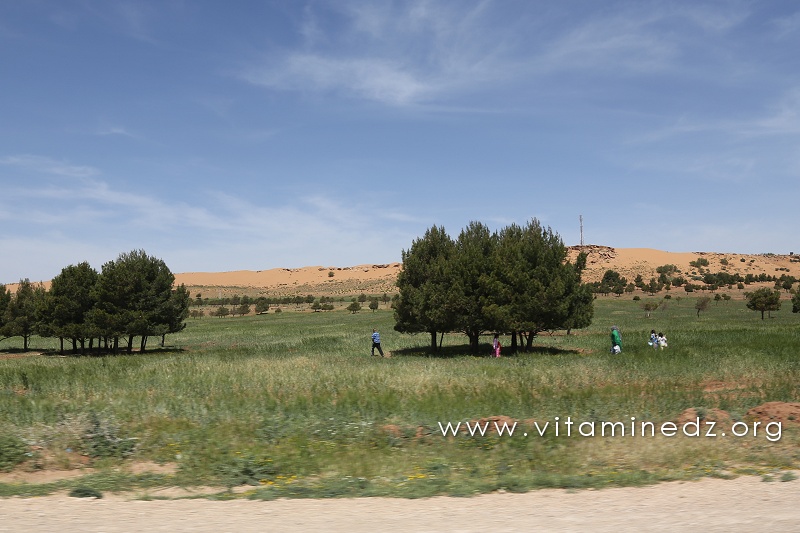 Commune de Brida (Wilaya de Laghouat)