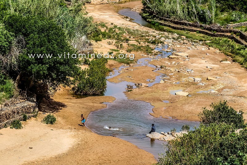 Enfants nageant dans une guelta - Jardins cachés d'El Ghicha (Wilaya de Laghouat)