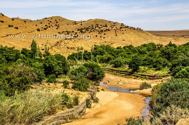 Jardins cachés d'El Ghicha (Wilaya de Laghouat)