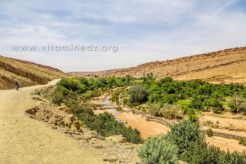 Oued El Ghicha - Jardins cachés d'El Ghicha (Wilaya de Laghouat)