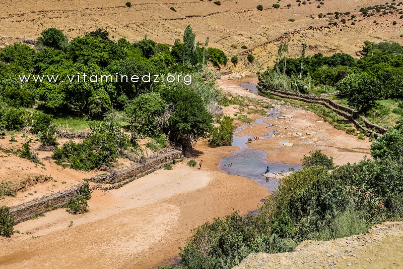 Guelta, Oued El Ghicha (Wilaya de Laghouat)