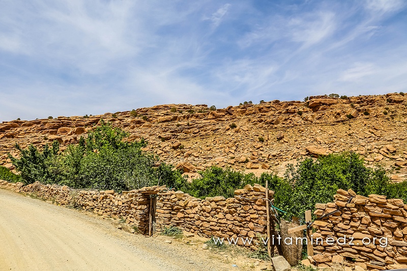 Jardins cachés d'El Ghicha (Wilaya de Laghouat)
