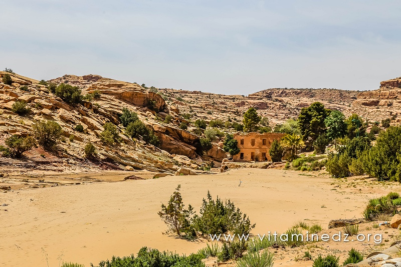 Moulin et Jardins cachés d'El Ghicha (Wilaya de Laghouat)