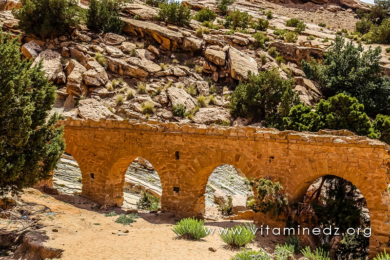 Jardins et moulin d'El Ghicha (Wilaya de Laghouat)
