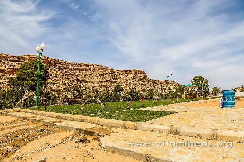 Jardins artificiels d'El Ghicha (Wilaya de Laghouat) trouvez l'intrus