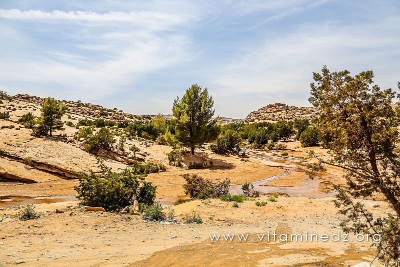 Oued El Ghicha, source de Oued M'ZI (Wilaya de Laghouat)