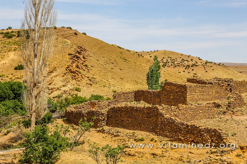 Jardins et ksar d'El Ghicha (Wilaya de Laghouat)