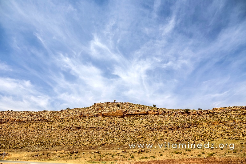 Djbel Amour, Gravures rupestres d'El Ghicha (Aïn safsafa) Wilaya d'El Aghwat