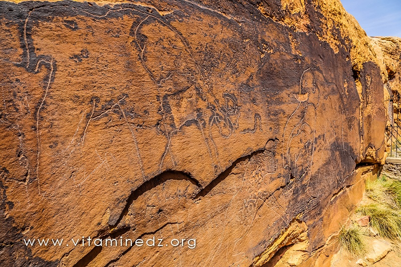Gravures rupestres d'El Ghicha (Aïn safsafa) Wilaya d'El Aghwat